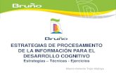 Taller 2 - Estrategias de procesamiento de la información para el desarrollo cognitivo