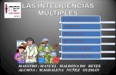 Las Inteligencias Multiples Y Su Rel Con La T. E. W.F