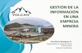 Gestión de la Información en una empresa minera