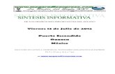Sintesis informativa 13 07 2012