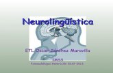 Neurolingüística (final)