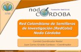 Propuesta para sede ENSI 2013 RedCOLSI por el Nodo Córdoba PPTX