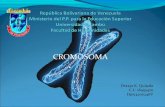 Tarea 3  cromosoma hps14200246 v