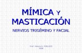 2008 Mimica Masticacion