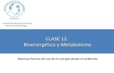 bioenerg©tica y metabolismo