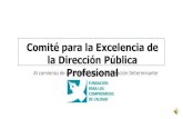 20131014 esquema certificación directivos publicos profesionales categoría 1
