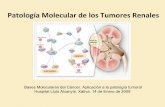 Diagnóstico Molecular del Carcinoma Renal