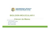 Biología molecular ii cáncer de mama
