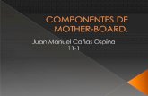 Mother board juan manuel cañas