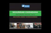 Seguridad ciudadana. Balance el año 2013 en el Perú