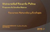areas naturales protegidas. Machiguenga