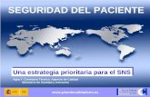 Formación e Investigación en la Estrategia de Seguridad del Paciente del Sistema Nacional de Salud Español