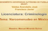 Narcomenudeo en México, presentación