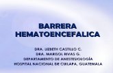 Barrera Hematoencefalica