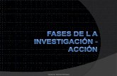 FASES DE LA INVESTIGACION ACCION