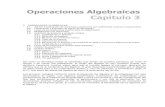 Operaciones Algebraicas
