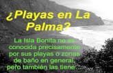 1474 playas de-la_palma-(menudospeques.net)