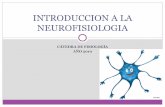 Introduccion a la neurofisiologia