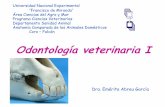 Odontología veterinaria i