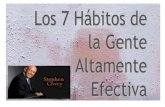 La sinergia según Stephen Covey ( Los 7 Hábitos)