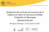 Validacion de Rutas de Impacto en la CV de Doble Proposito en Nicaragua (ESP)