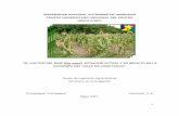 El cultivo del maiz situacion actual y su impacto en la economia del valle de comayagua