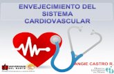 Envejecimiento sistema cardiovascular
