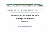 Sintesis Informativa 140211