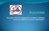 Bullying inei