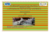 INFORMES DE LABORATORIO ( biología)