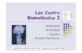 Clase 4 Las BiomoléCulas (Azúcares Y Proteínas)