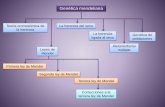 Biología PAU. Genética y reproducción. Genética Mendeliana. ESP