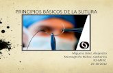 (2012-10-25) Principios basicos de la sutura manual(ppt)