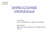 Infecciones Urinarias Fisiologia renal final