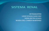 SISTEMA RENAL Y APARATO FEMENINO