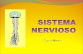 Sistema nervioso ppt