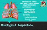 Histología de Aparato Respiratorio.