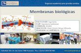 Membranas biol³gicas