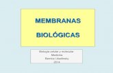 Membranas biologicas'