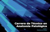 Carrera de técnico en anatomía patológica curso i