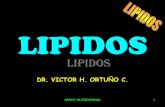 03 lipidos 2011