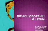 Presentacin de diphylobotrium latum