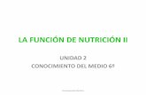 La función de nutrición 2