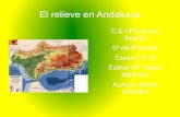 Trabajo Andalucía