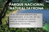 parque Tayrona