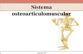 Semiologia Osteoarticulomuscular parte 1