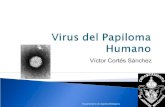 15.  Virus del Papiloma Humano