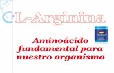 L-arginina, propiedades y uso. proargi 9 plus