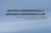 ANATOMIA Y FISIOLOGÍA SABATINO: Sistema Respiratorio y Sistema Cardiovascular
