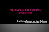 ANATOMIA Y FISIOLOGIA NOCTURNO: Fisiología del Sistema Digestivo